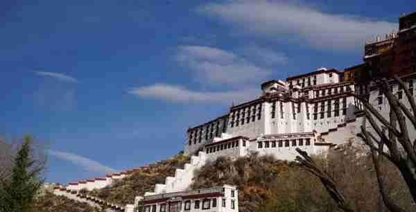   世界屋脊之旅：西藏拉萨，朝圣布达拉宫的神圣之旅